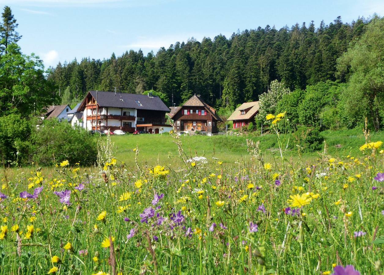 Landhaus Anja Freudenstadt Luaran gambar